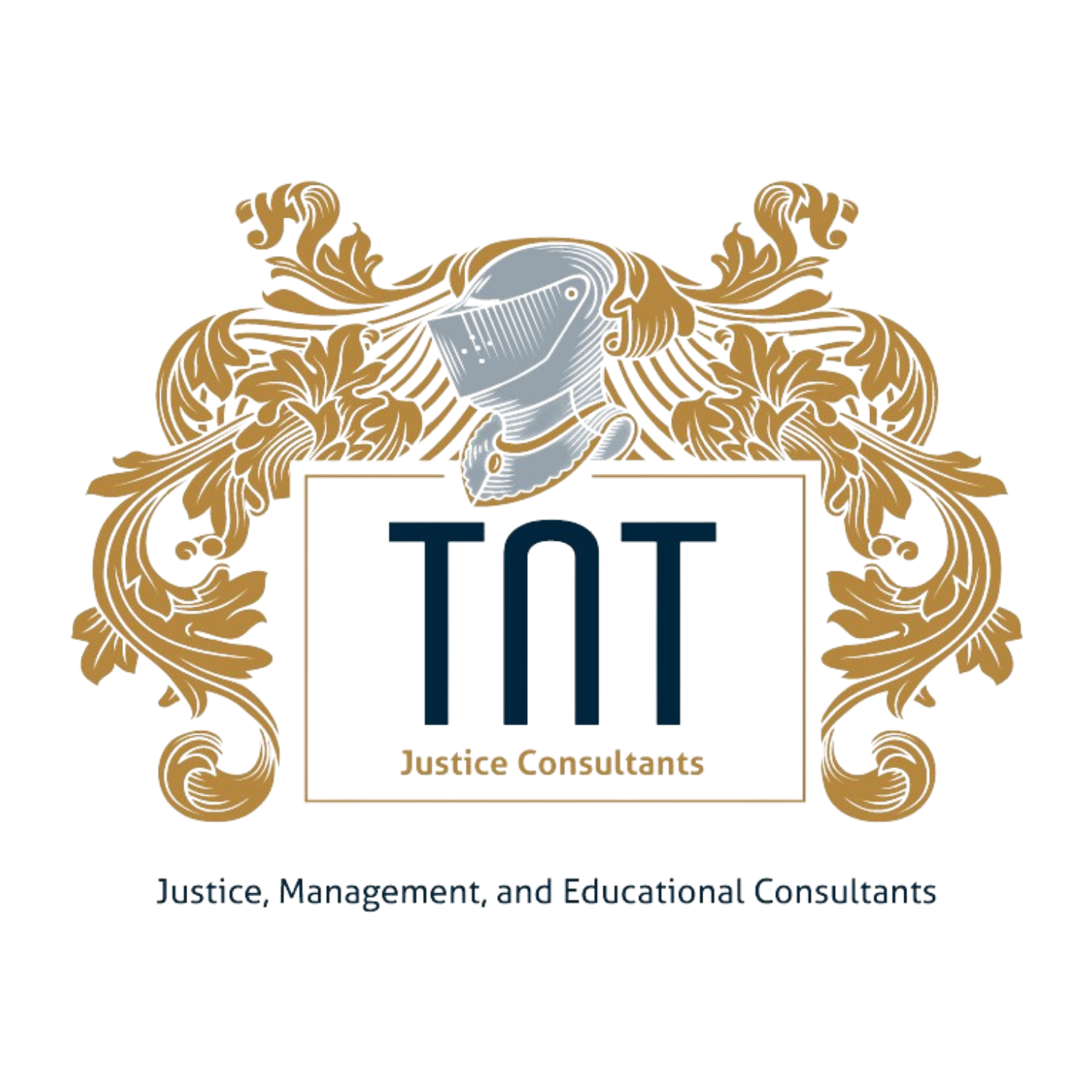 Registration for Foundational Pathway for Navigating Healthcare - TNT  Justice Consultants